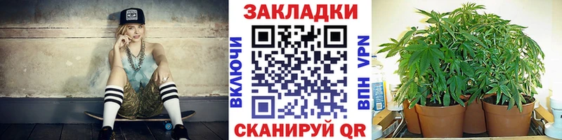 Виды наркоты Муром Бошки Шишки  Меф мяу мяу  A PVP  Гашиш 
