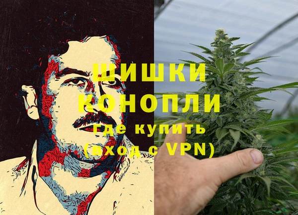 тгк Володарск