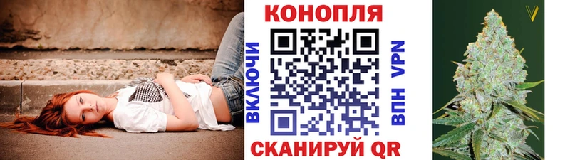 как найти наркотики блэк спрут вход Канабис индика Муром